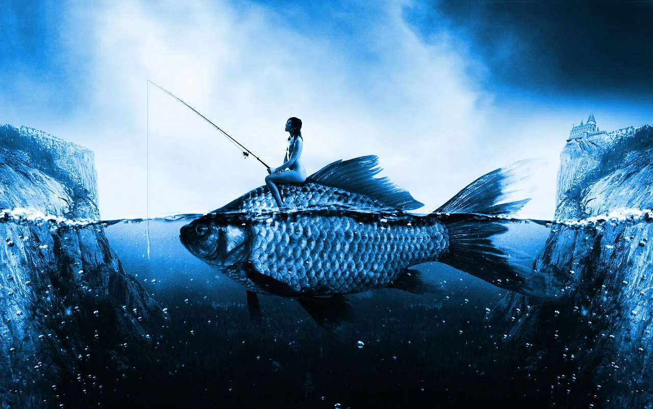 Is this what they mean by “catch and release?”