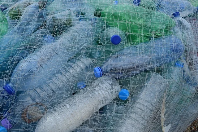 coastal cleanup.jpg