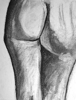 Butt.jpg