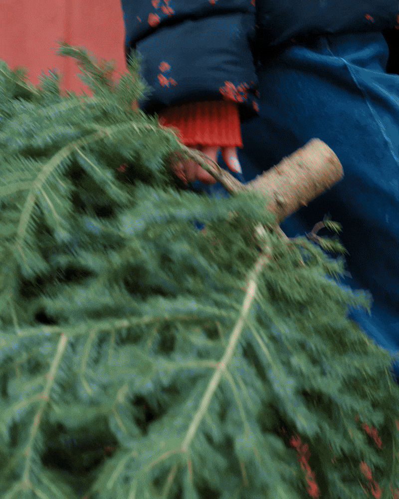 LOFT_W25_STORY_03_4-5_FINAL-ezgif.com-optimize (1).gif