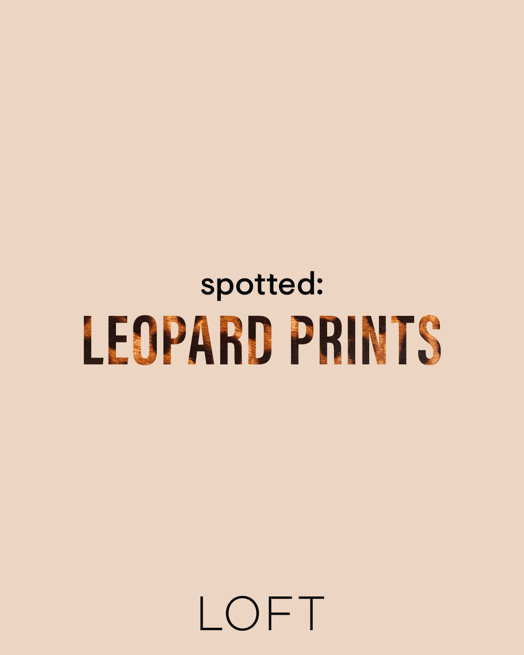 2623_Sept_Media_1080x1350_TTT-Leopard.gif