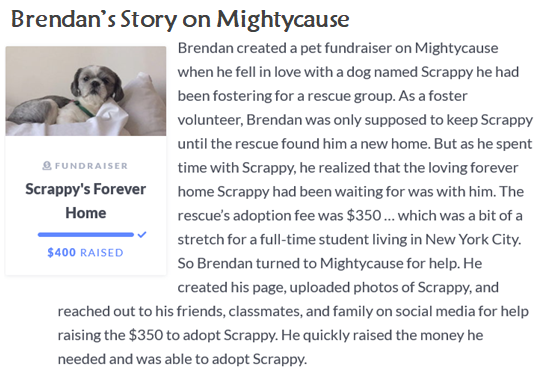 BrendansStory.png