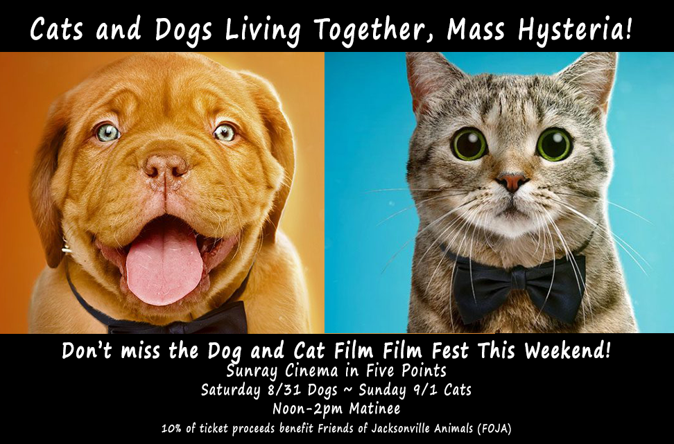 The NY Cat & Dog Film Fest Comes to Jacksonville This Weekend! — Friends Of  Jacksonville Animals