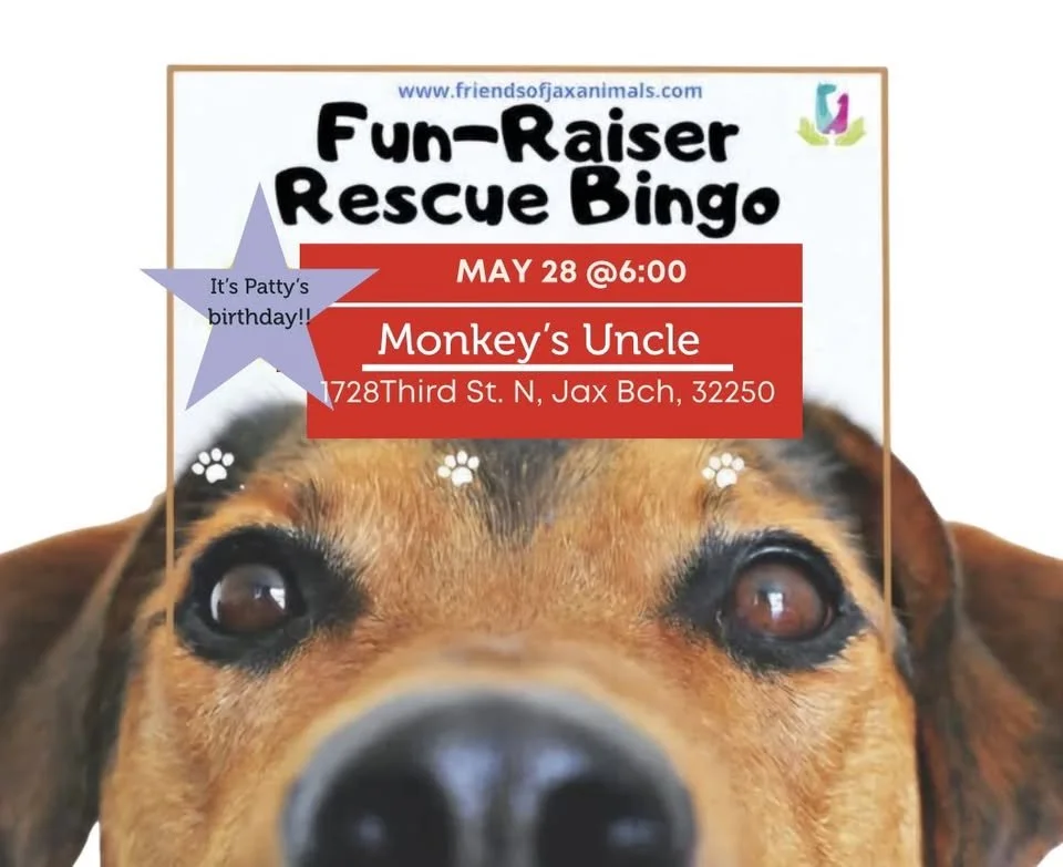 RescueBingo_May28.jpg