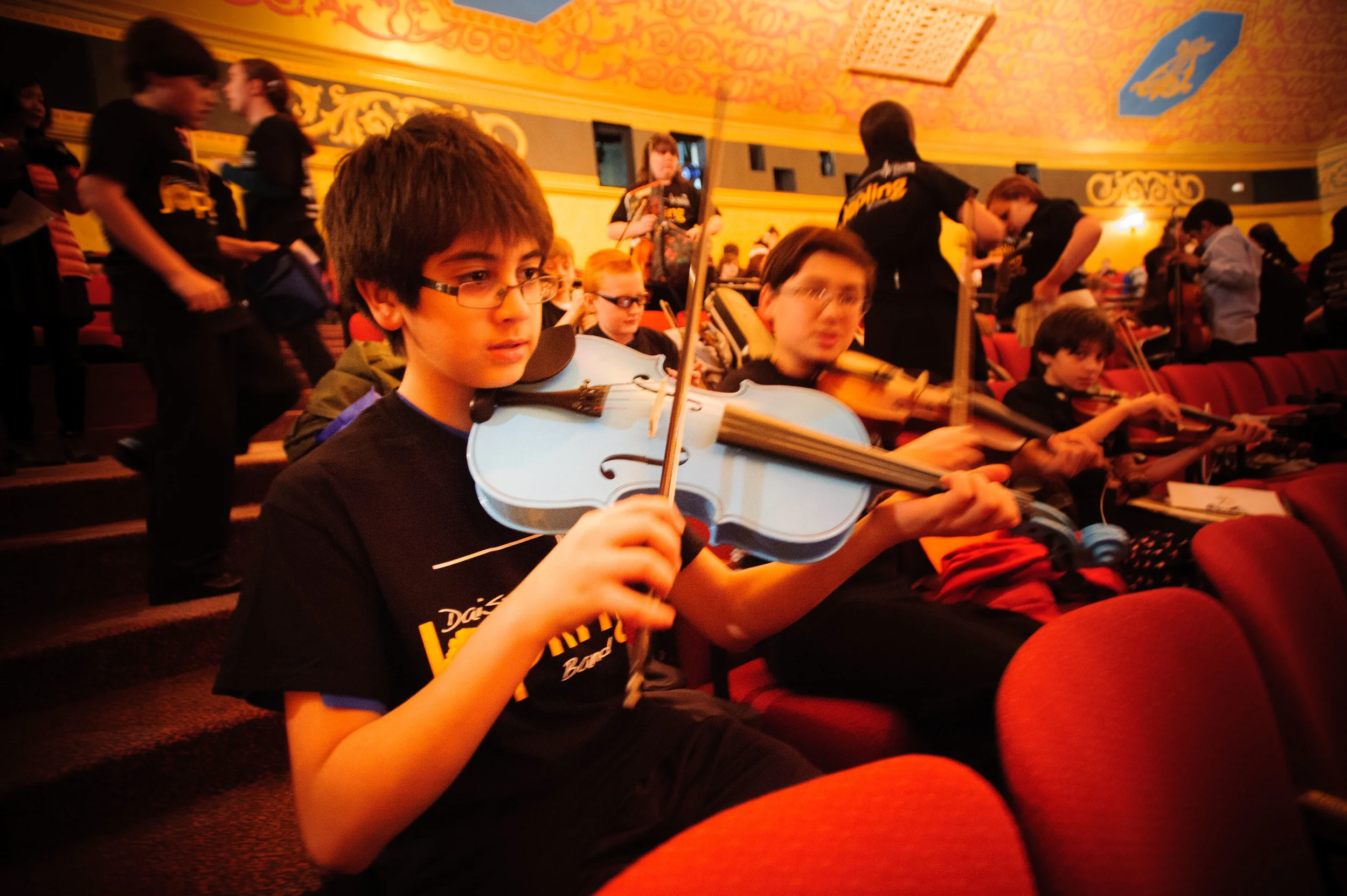 Check out this blue viola!