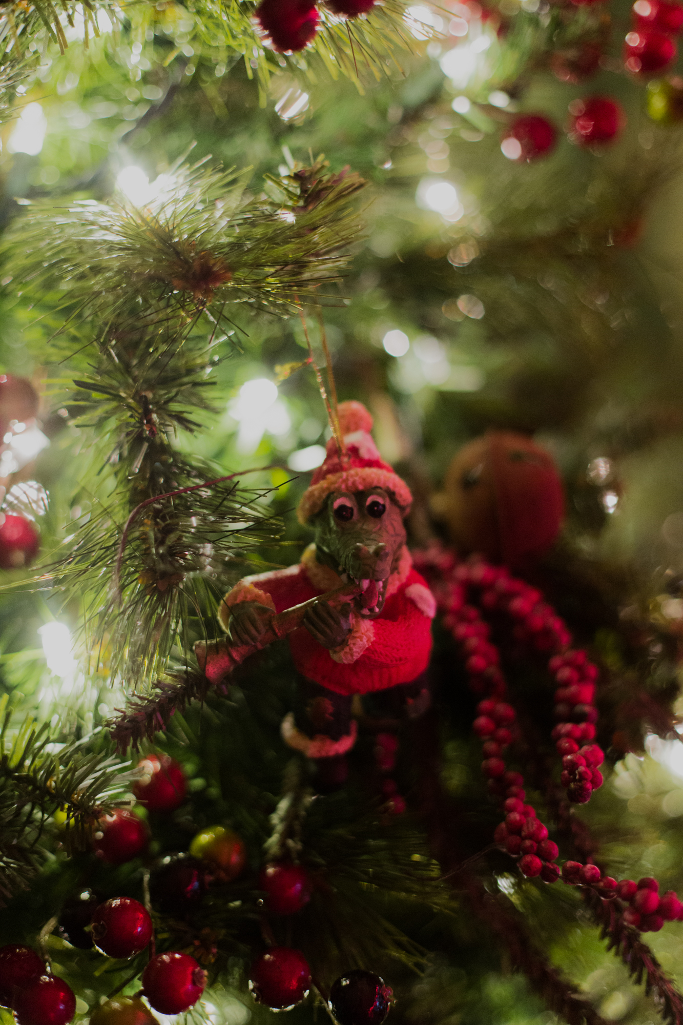 Magnolia Grace Photography | Shreveport Boudoir, Beauty, & Wedding Photographer | Bossier Boudoir, Beauty, & Wedding Photographer | What is Your Favorite Christmas Tradition?