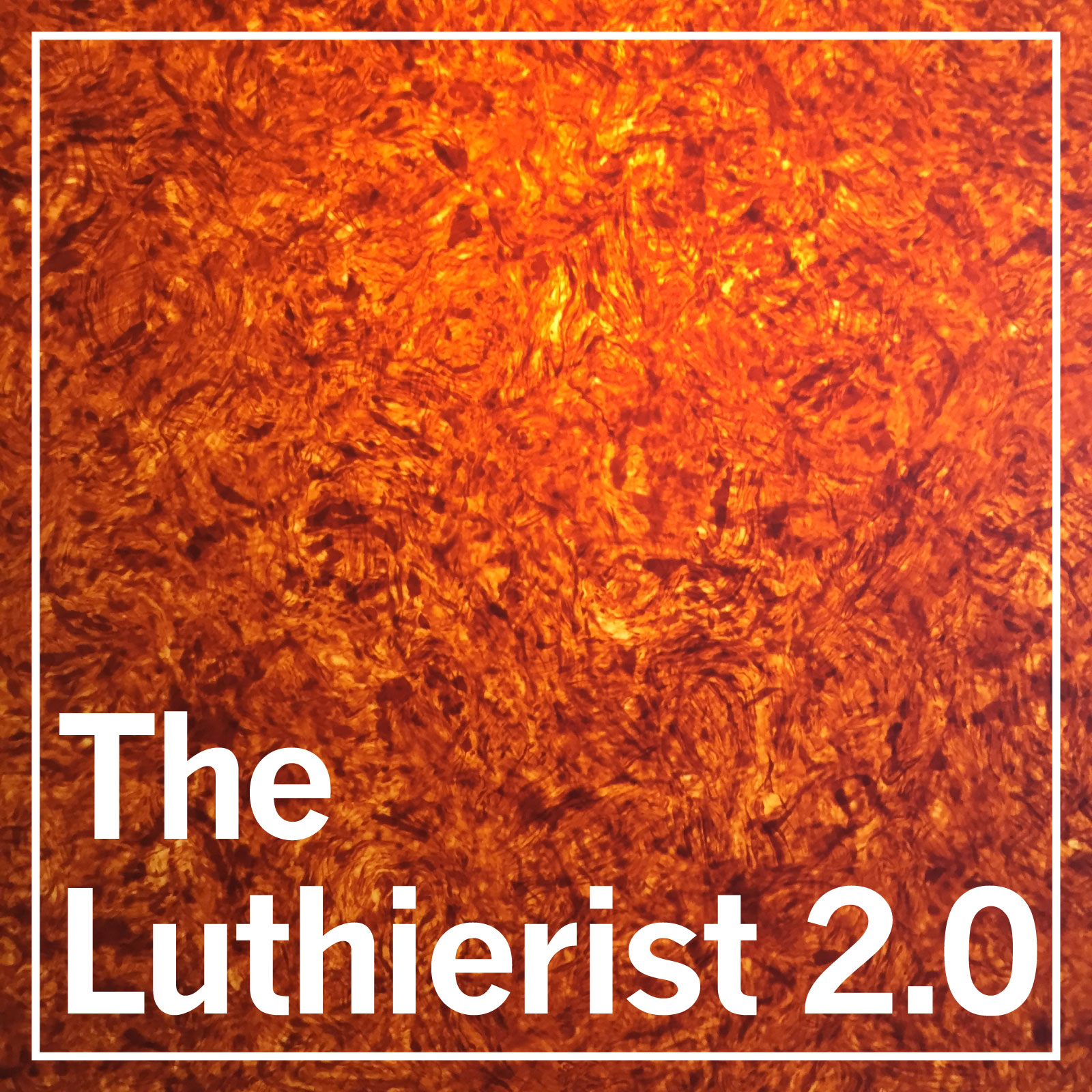 The Luthierist Podcast - ep 30: Cussin' with Casey #1