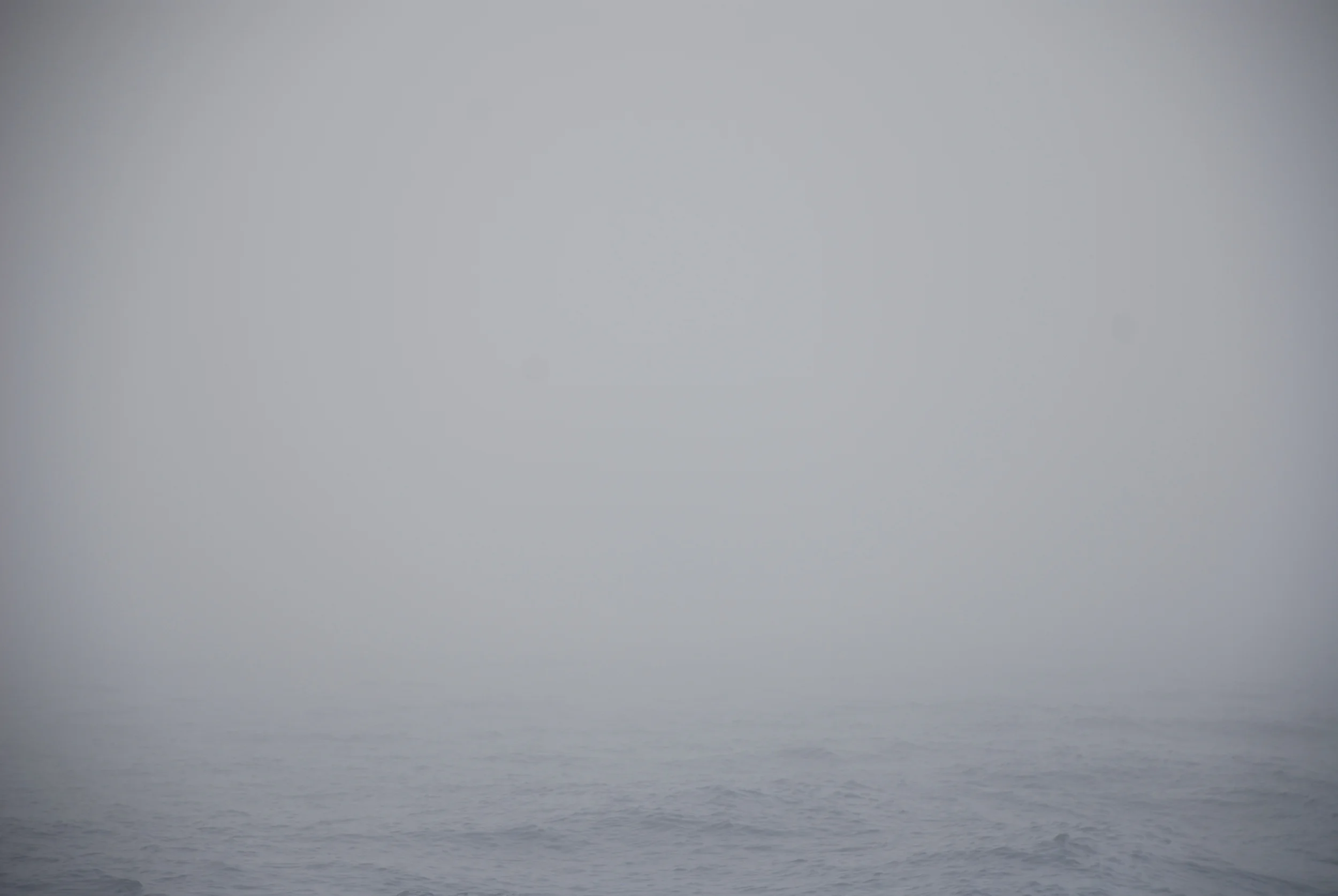 strynckx_steven_sea_2008.JPG