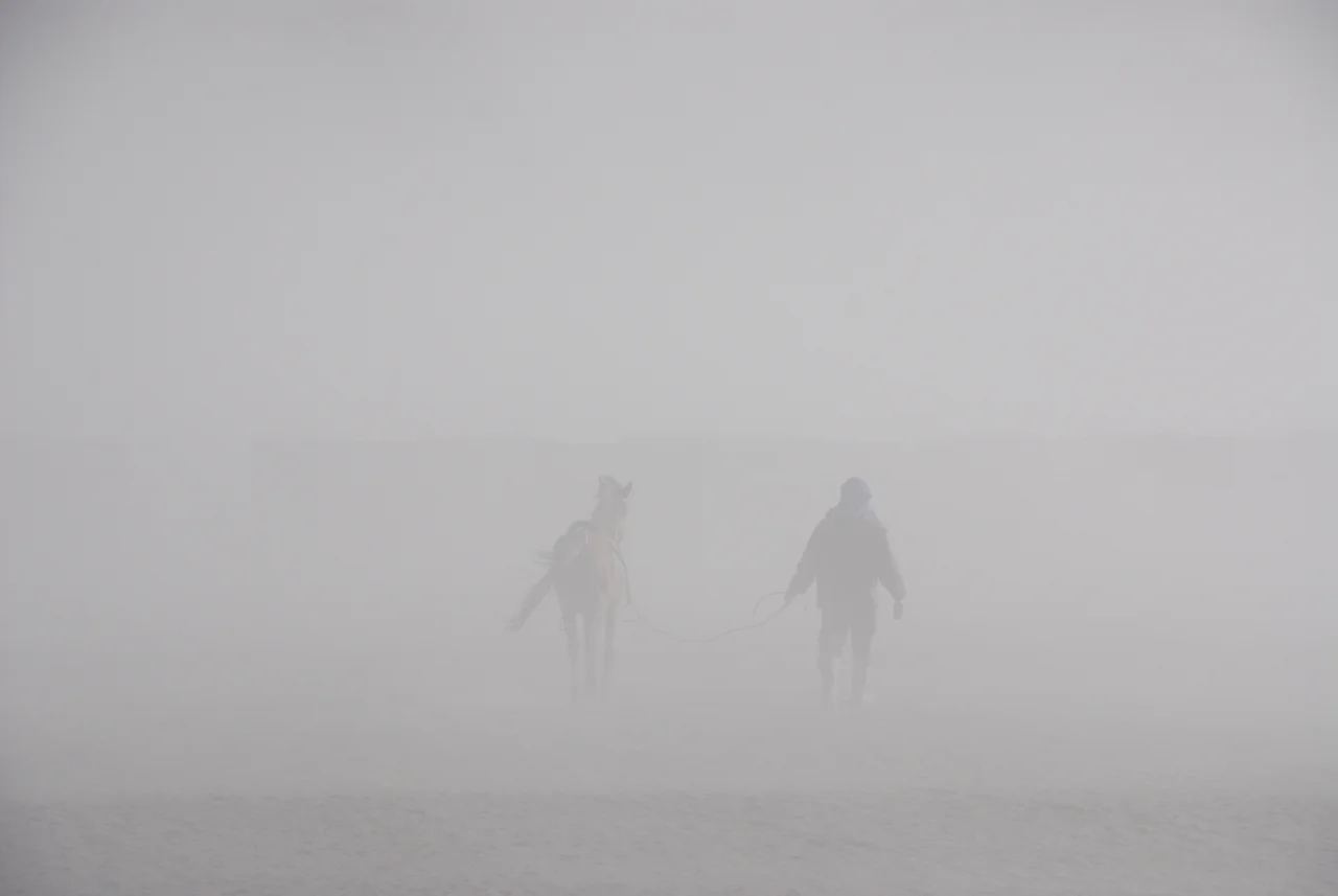 strynckx_steven_man_and_horse_2012.jpg