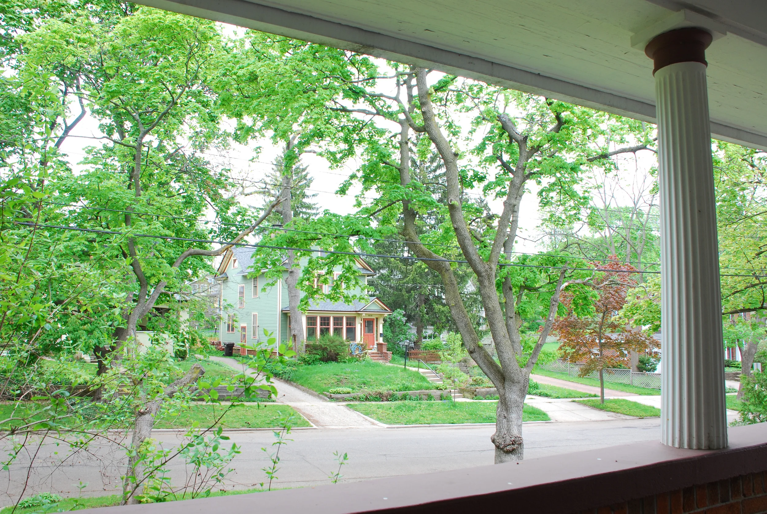 DSC_0175.JPG