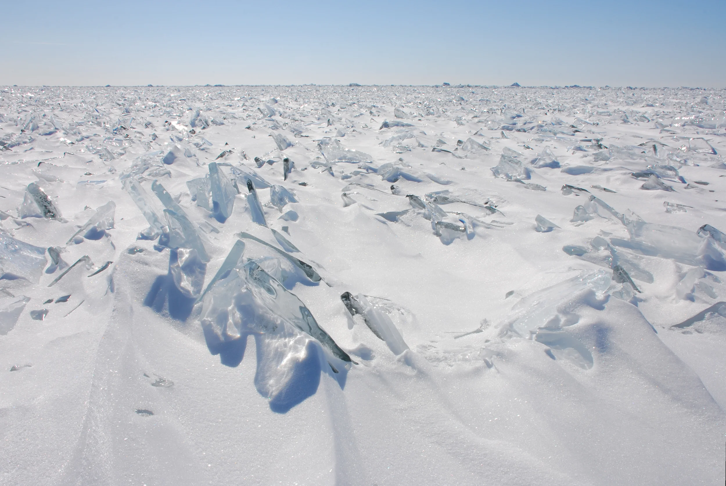 DSC_0366.JPG