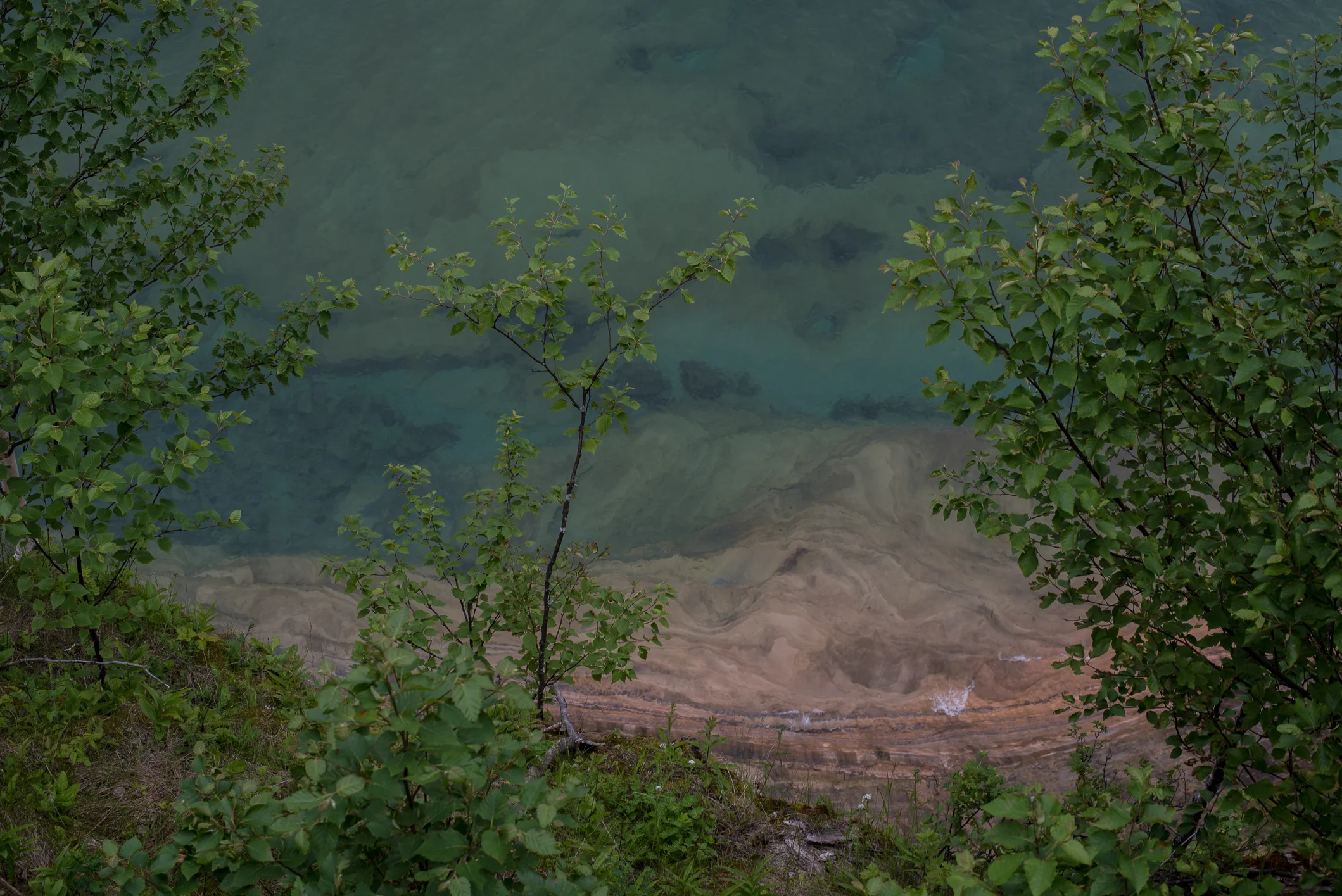 - web (64 of 87).JPG