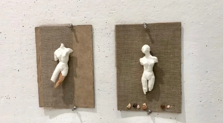 Color Me Flesh.jpg