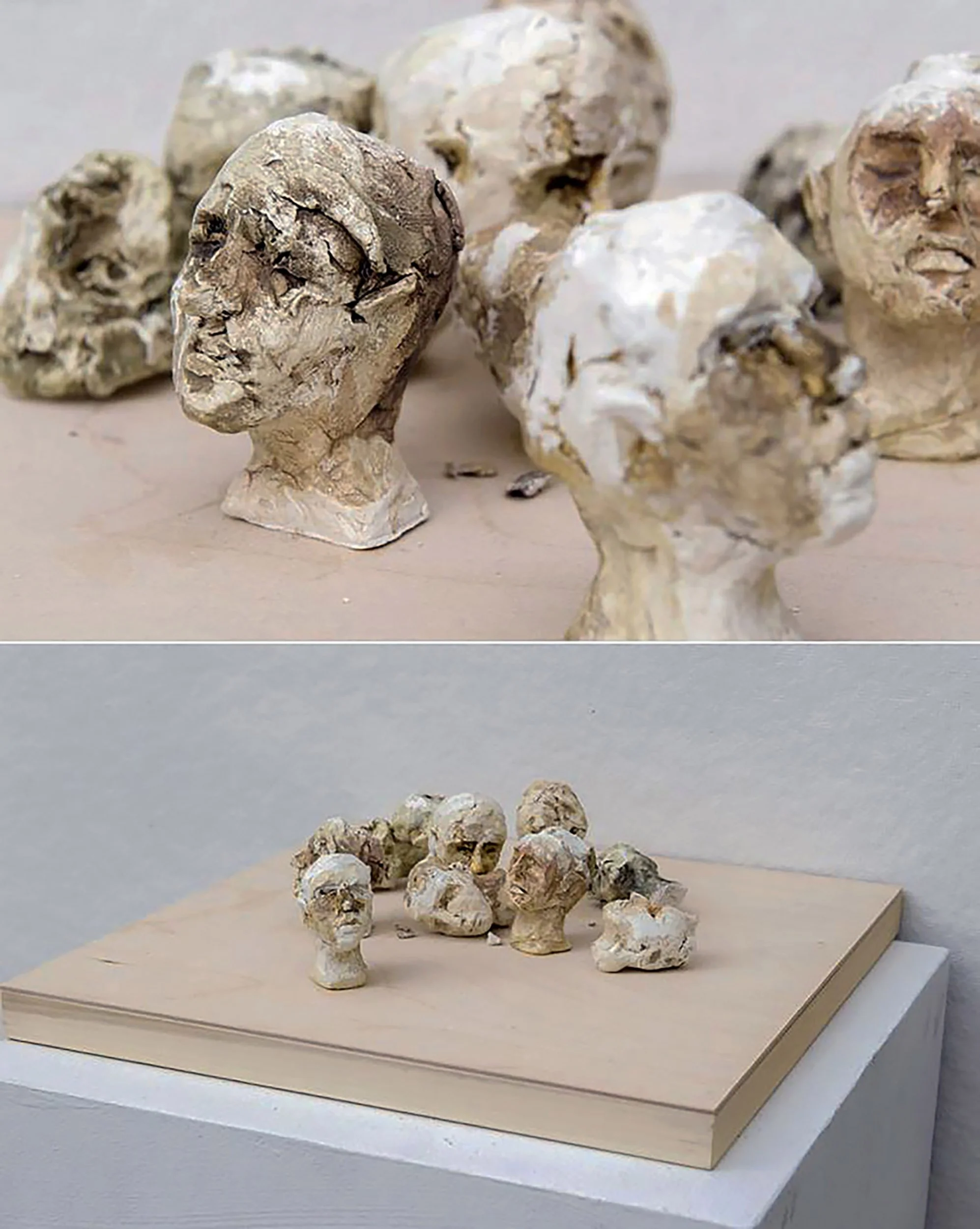 14.Color Me Flesh_ArtifactsCatalogingHistory_.jpg