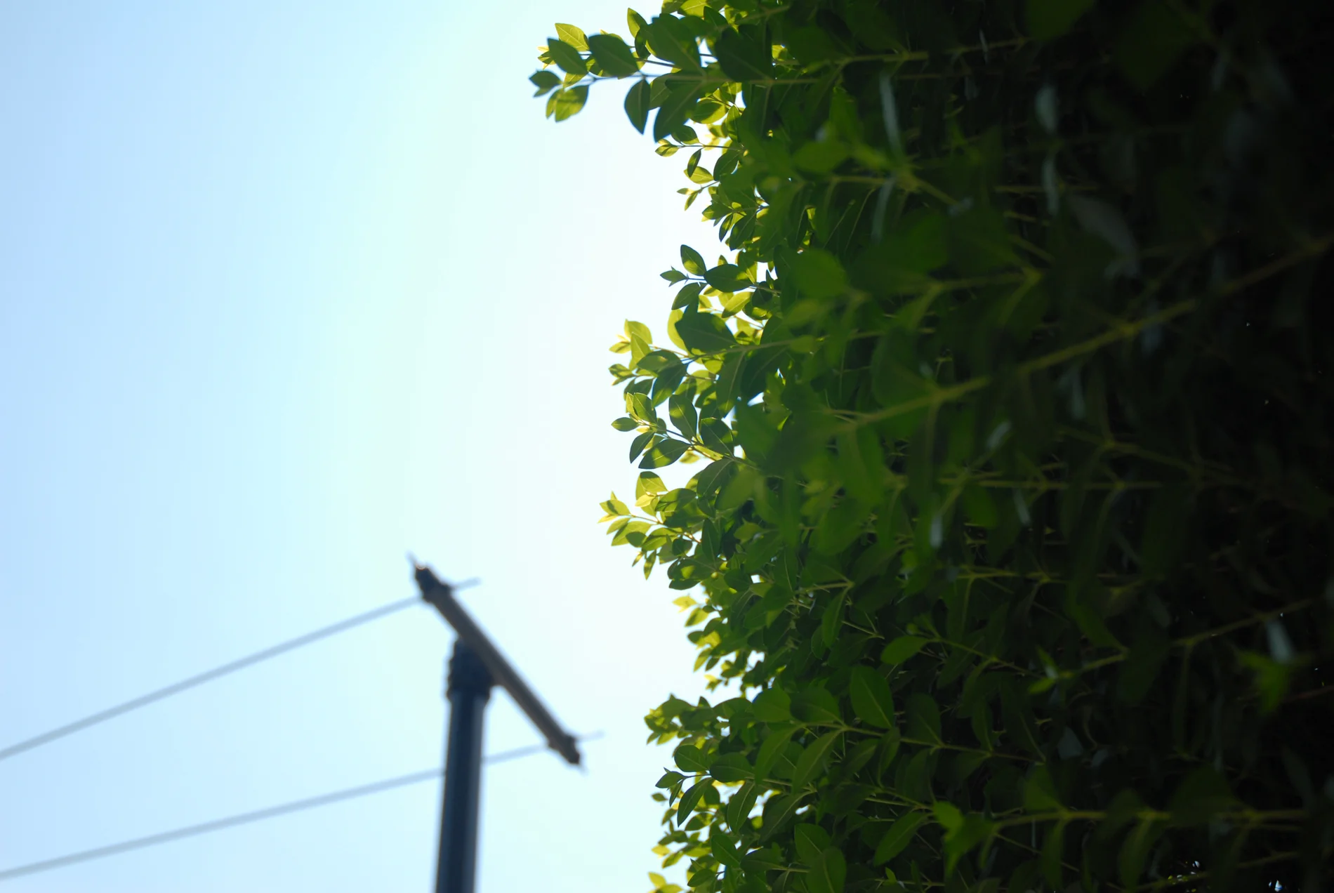 Blue to Green large.jpg