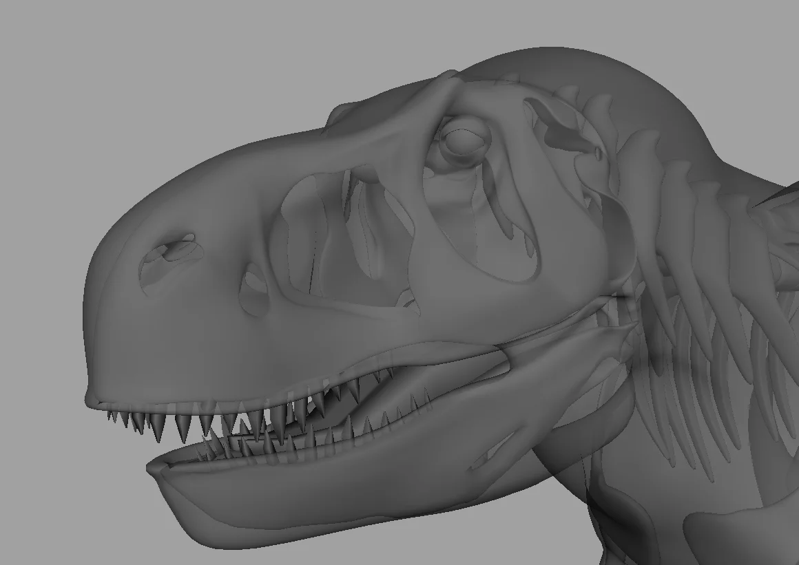 RexSkele.jpg