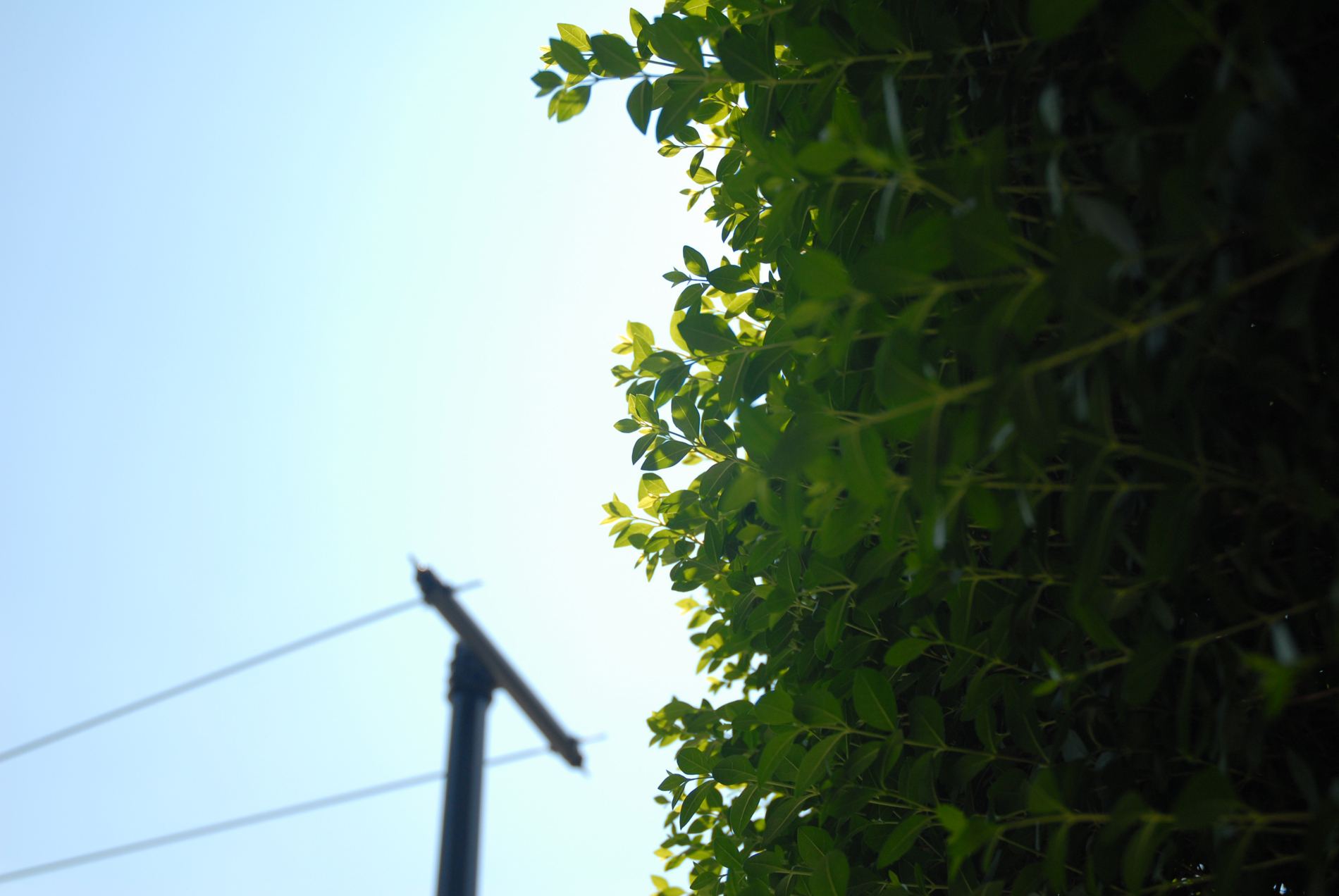 Blue+to+Green+large.jpg