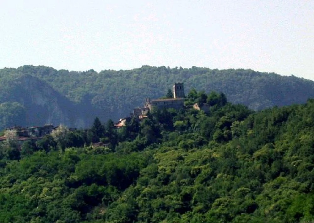 view of Cardoso.jpg