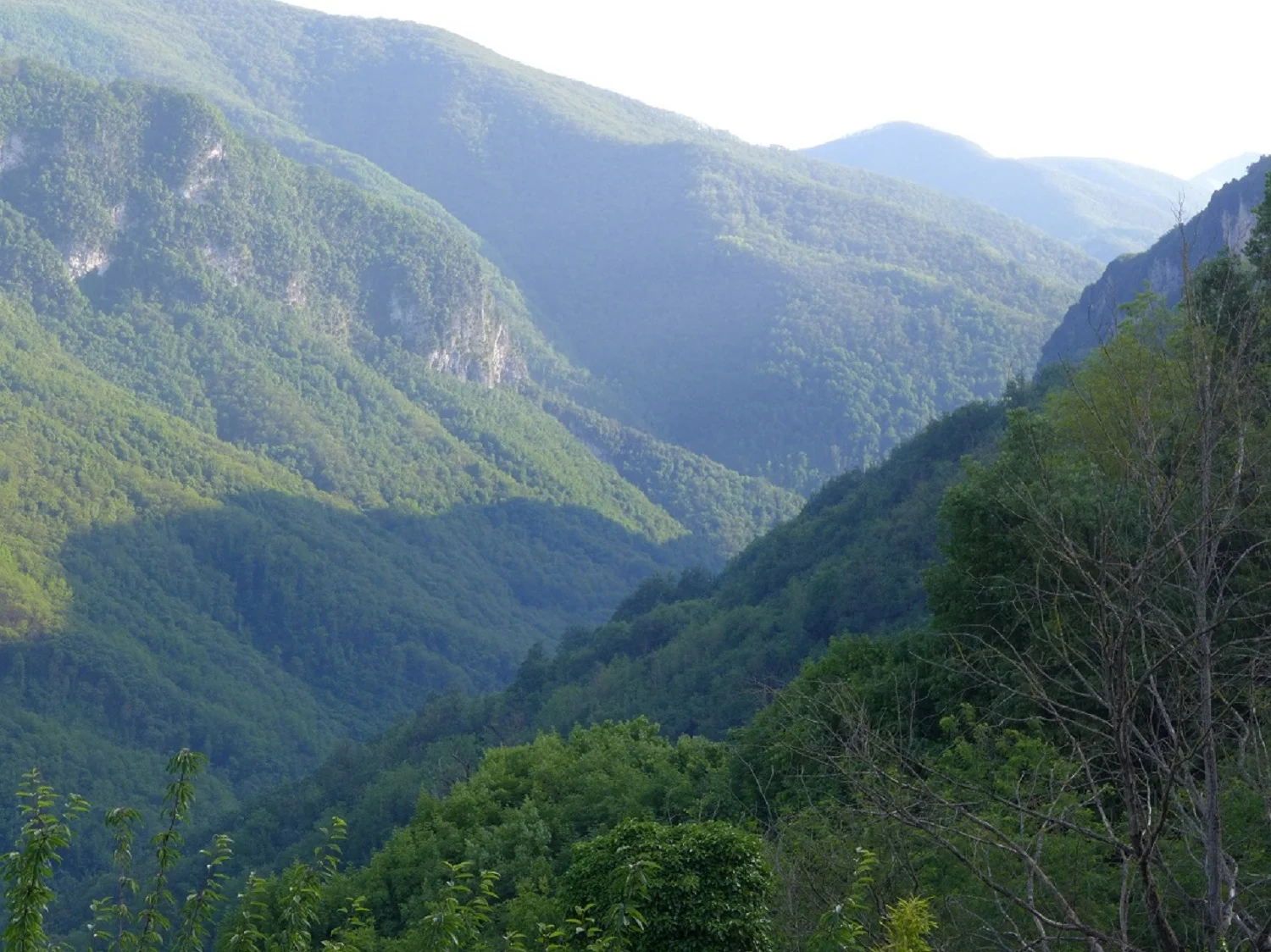 View from Master Bedroom.JPG