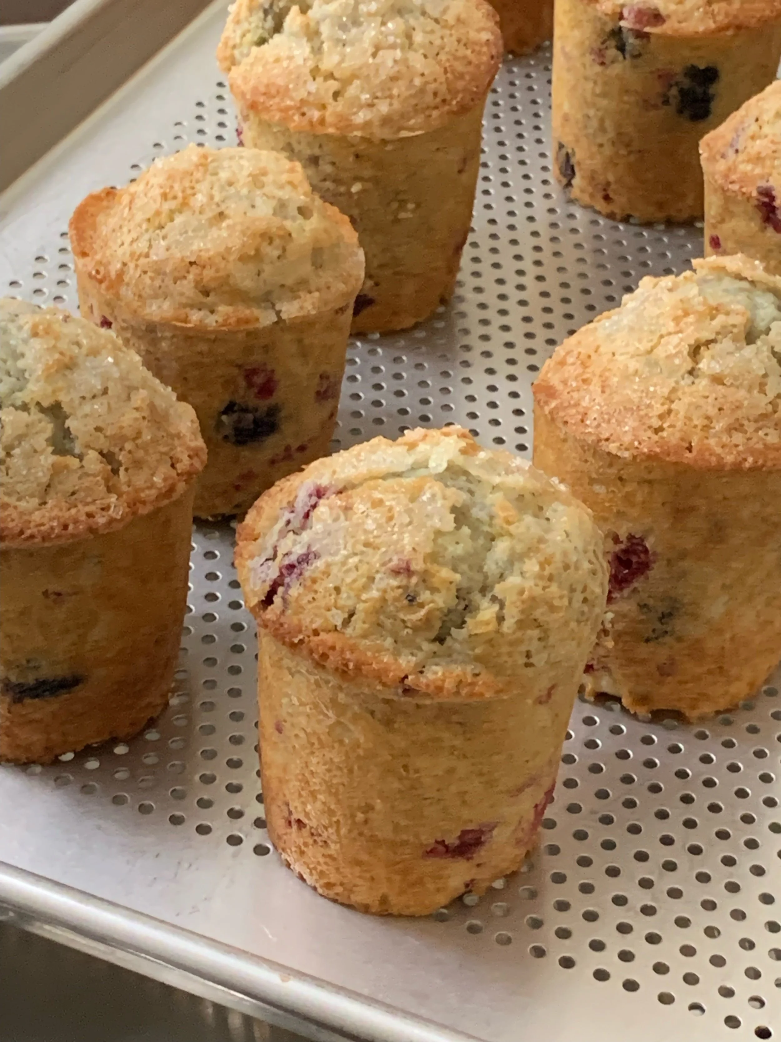 rasp blue muff 1-4.jpeg