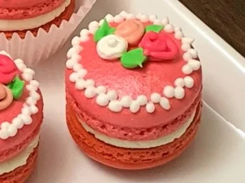 valen macaron 1h.jpeg