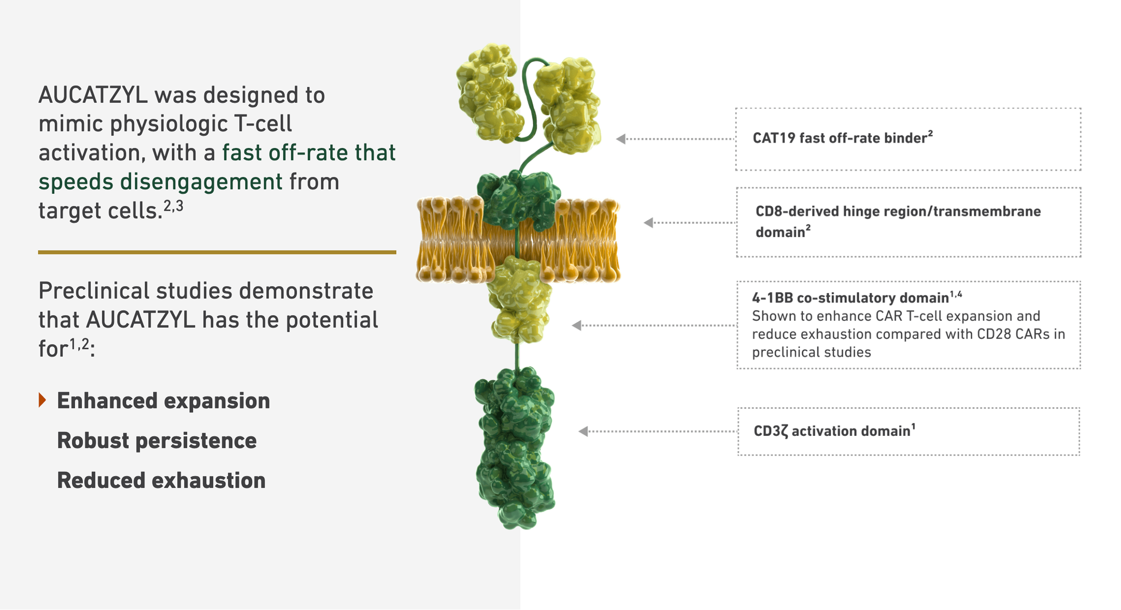 AUCATZYL Mechanism of Action page — HCP site