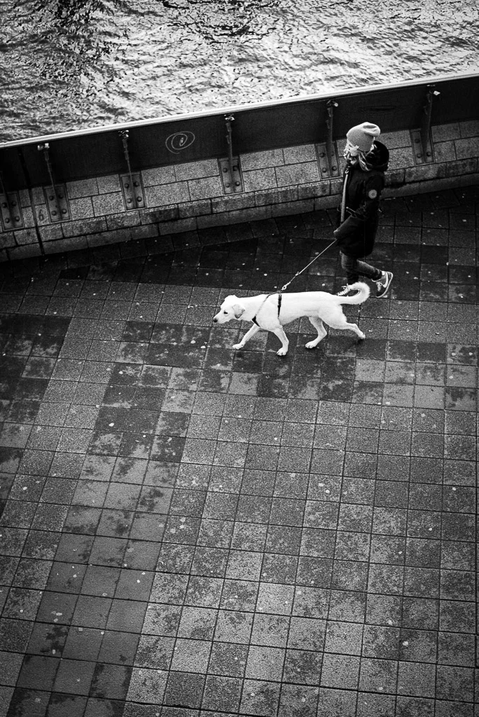 MarcoLarousse-Analog-7.jpg