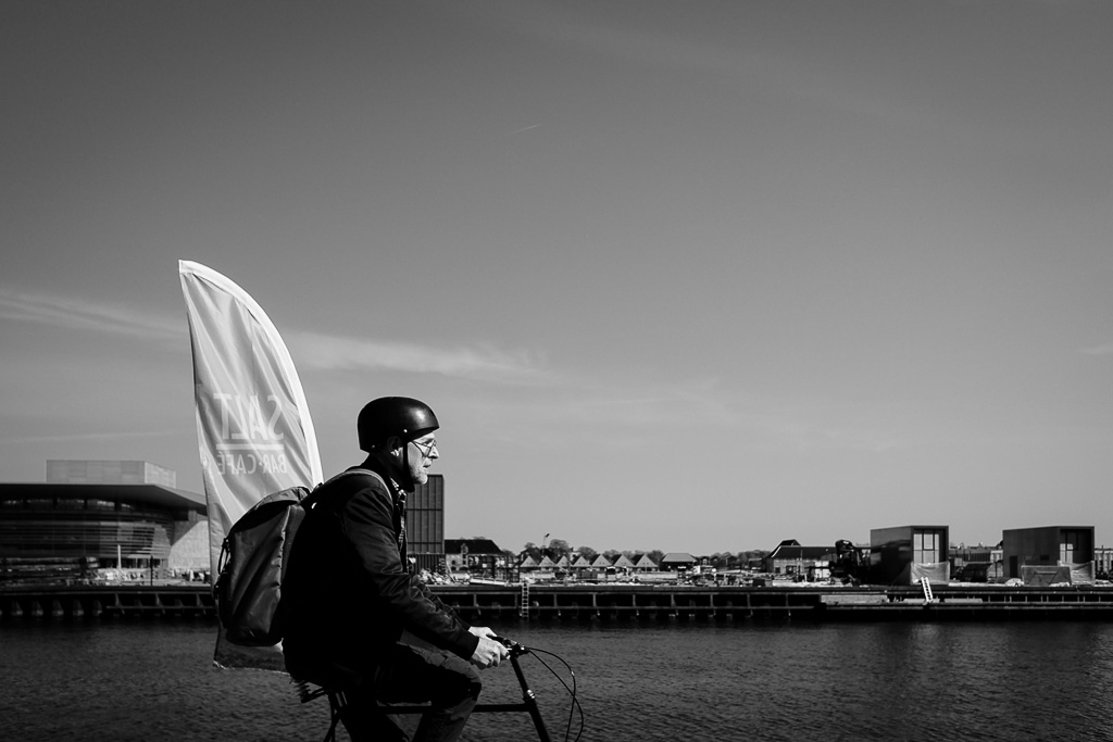 Copenhagen Waterfront Bicyclist