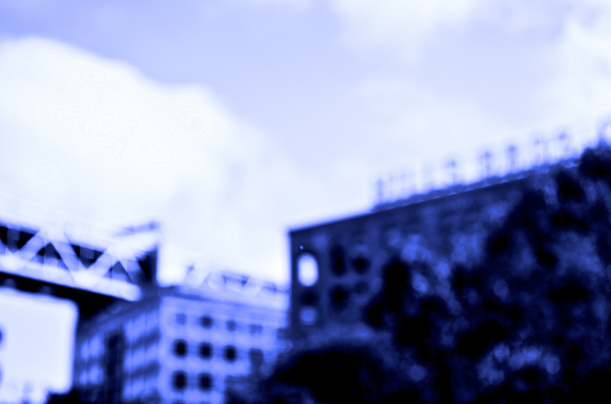 CSC_0021 - Version 4.JPG