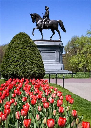 Boston Commons Georges Washington : Greater Boston Convention & Visitors Bureau.jpg