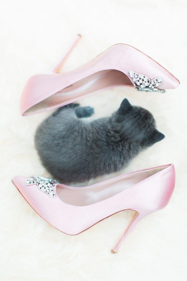 Kitties and Feathers - Beautiful Textures Inspiration (18).jpg