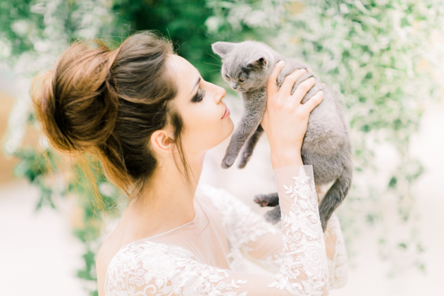 Kitties and Feathers - Beautiful Textures Inspiration (21).jpg