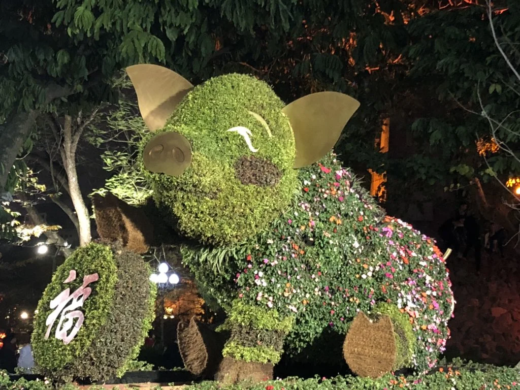 Hanoi just ushered in the year of the Golden Pig. We took this from the picturesqure walk around Hoan Kiem lake in Hanoi this week.