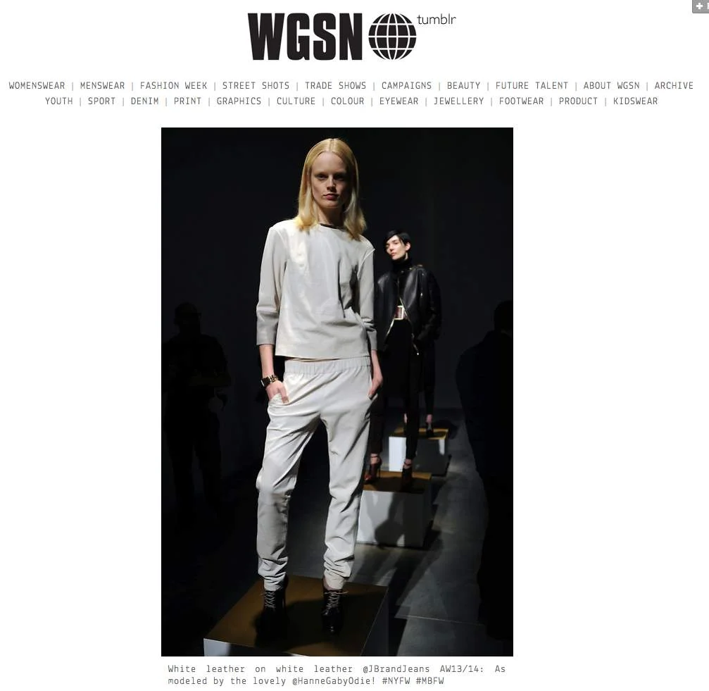 WGSN.com 2.14.13.jpg