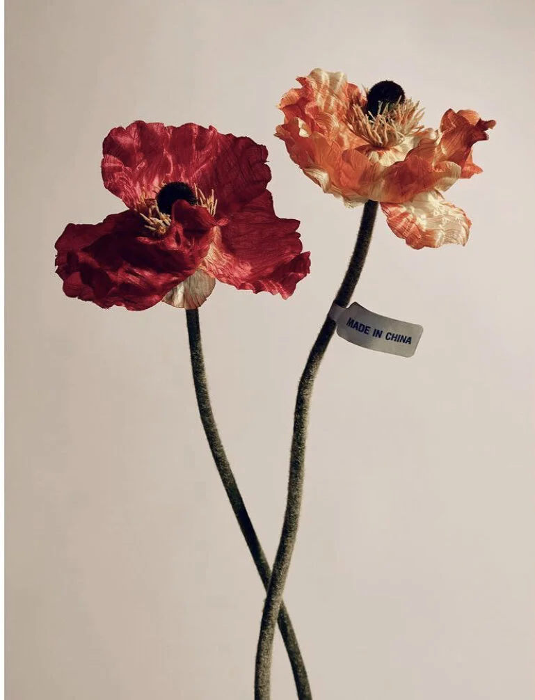 Maxime Poiblanc Collaboration