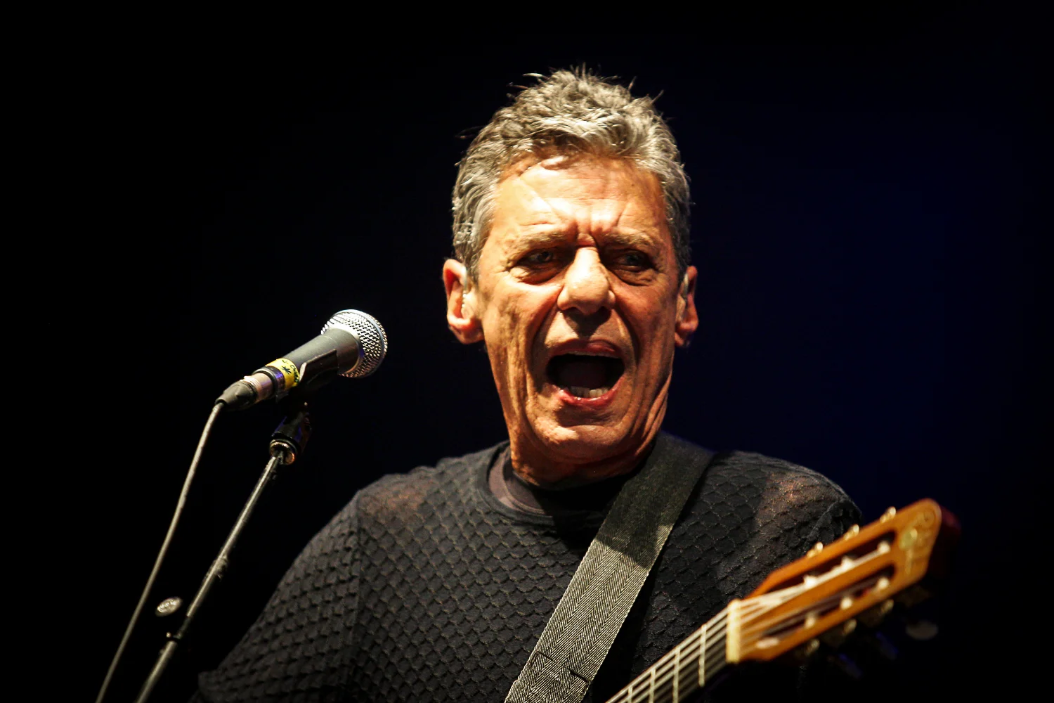 Chico Buarque