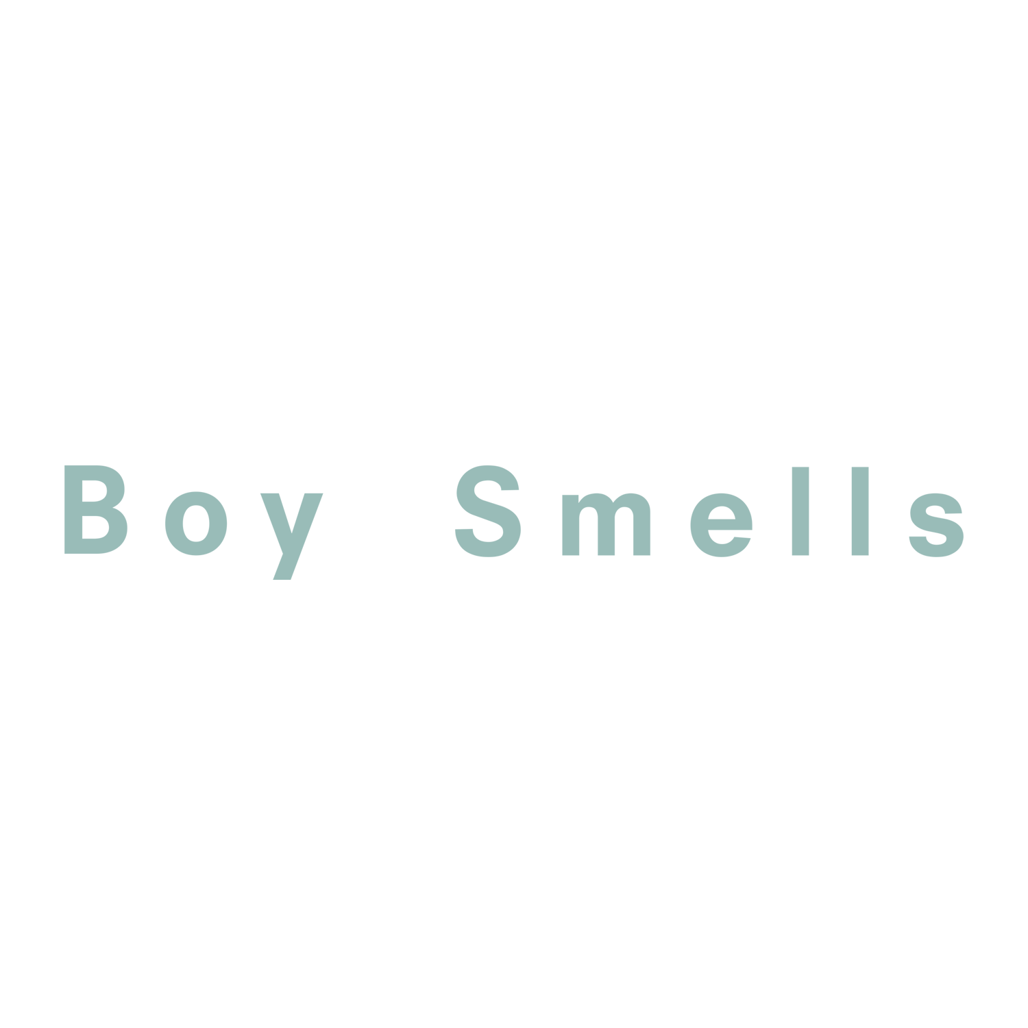 BOYSMELLS_LOGO.png