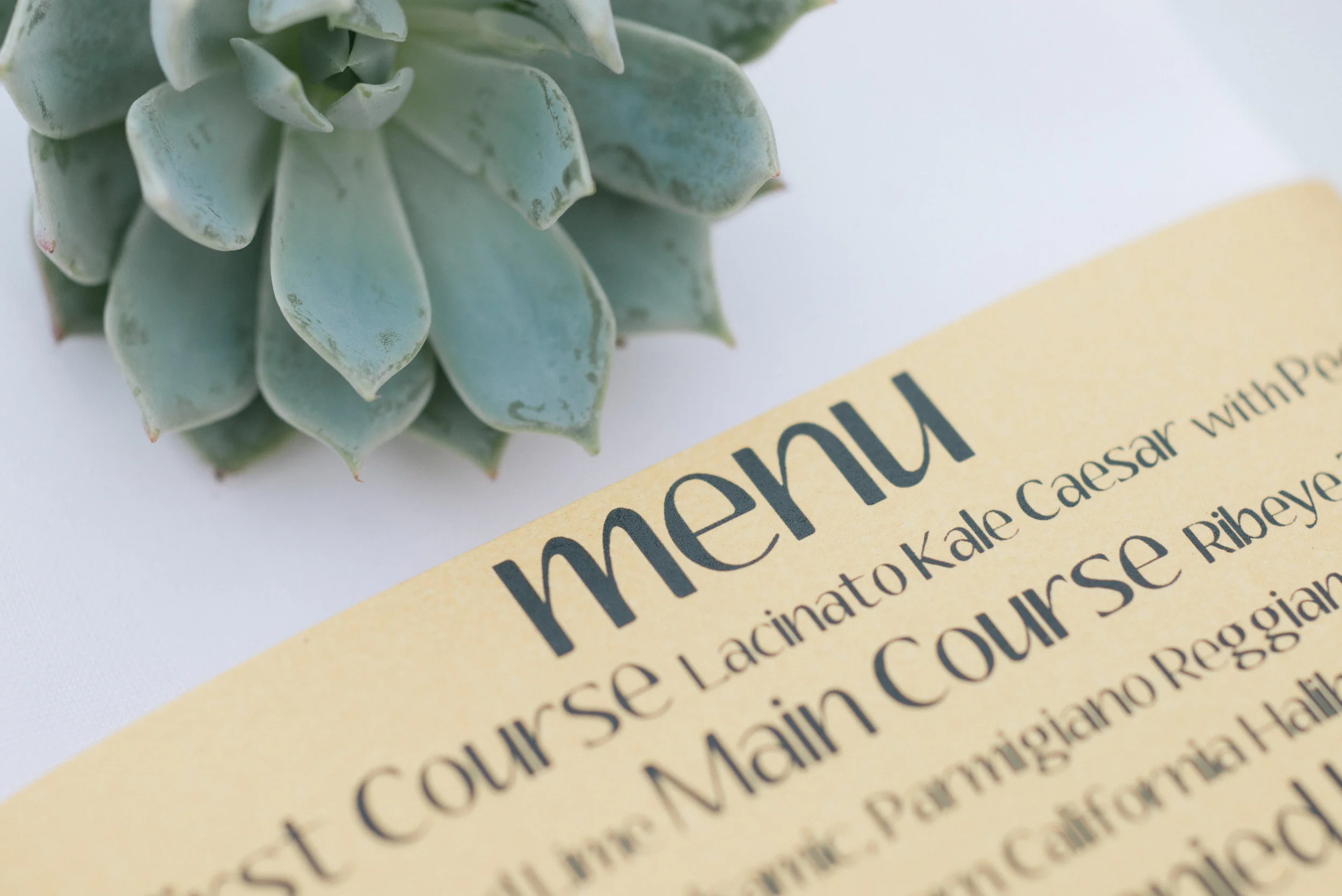 Palm Springs Wedding - Stationery 