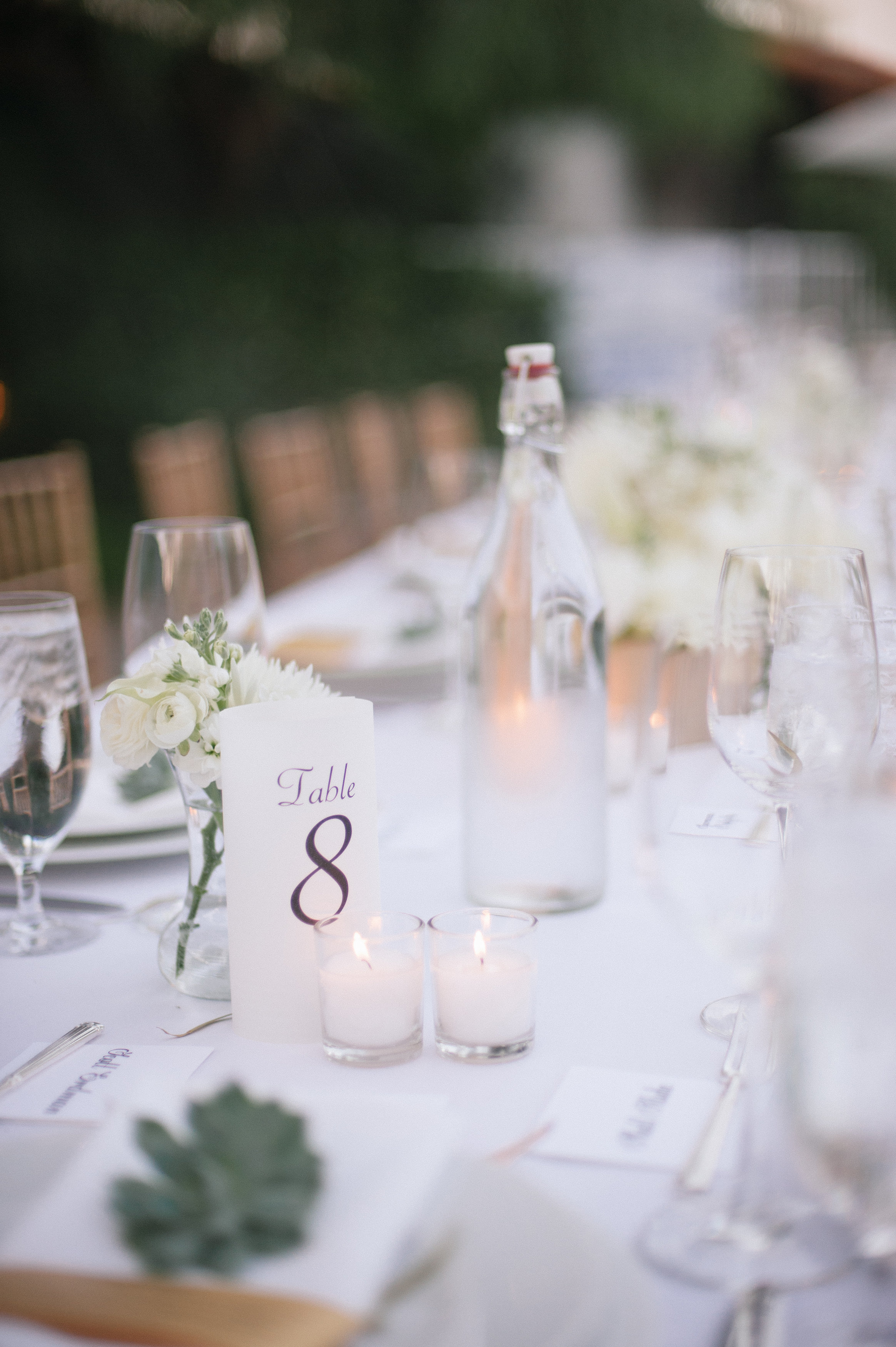ALL IMAGES BY MELISSA GIDNEY PHOTOGRAPHY