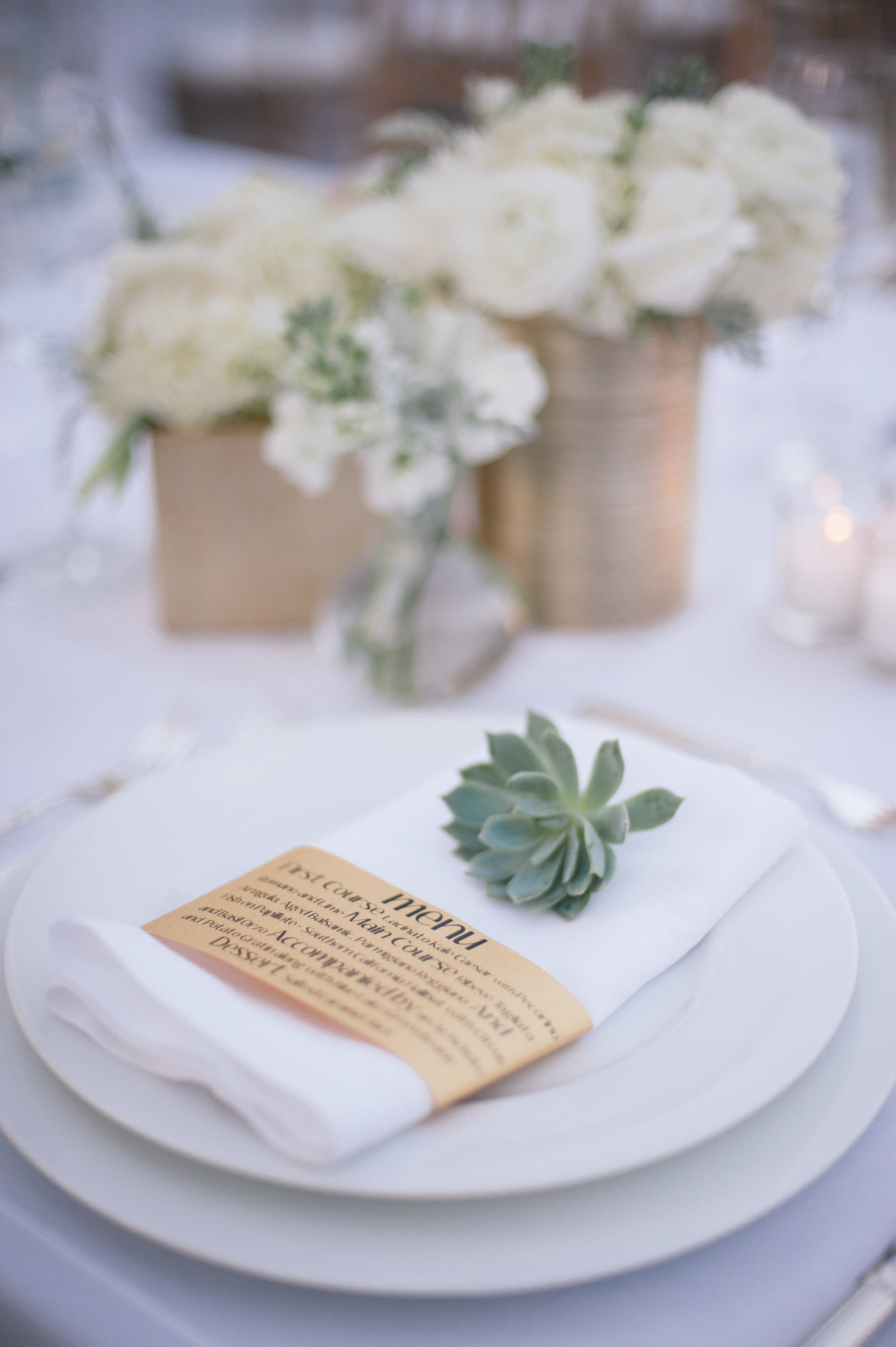 ALL IMAGES BY MELISSA GIDNEY PHOTOGRAPHY