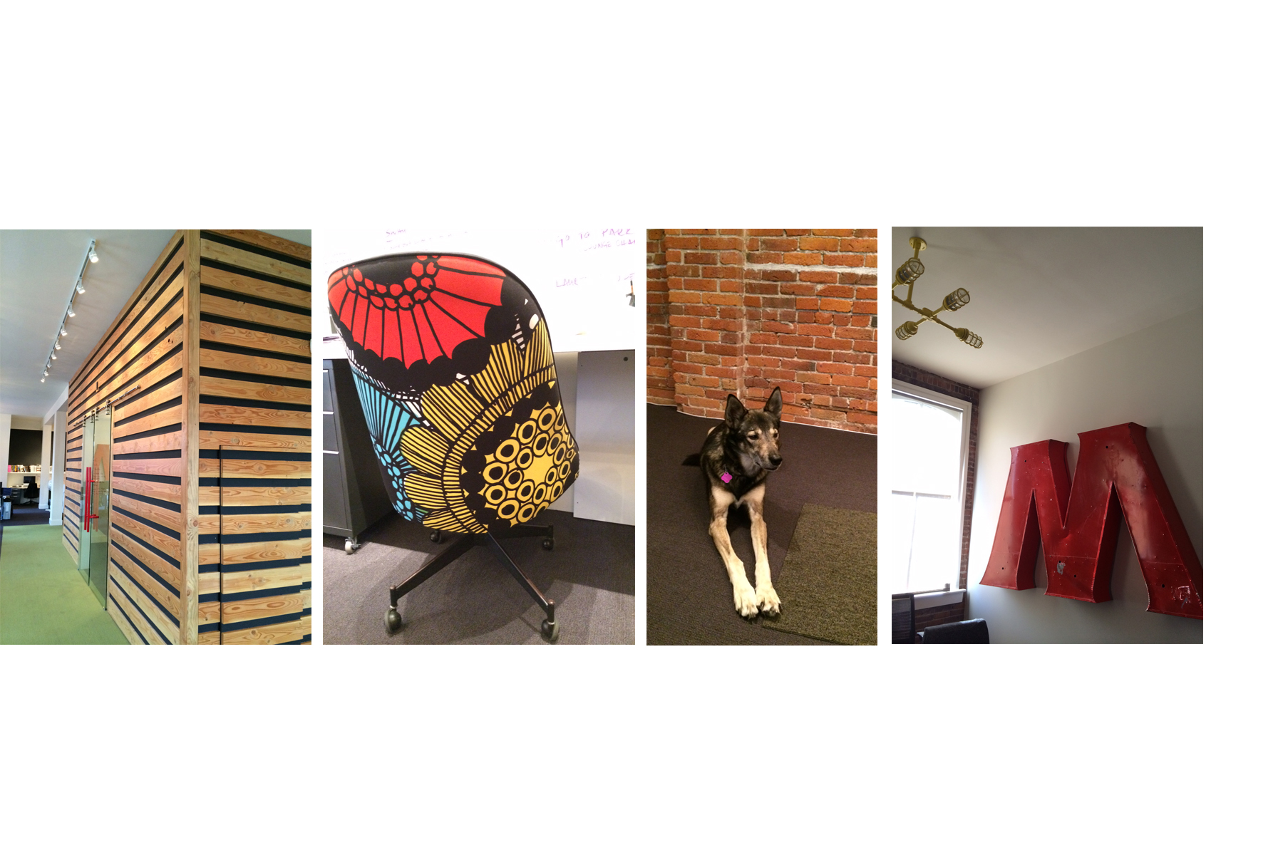 Office Interior Designed by Kyla Bidgood Interior Design, Fun Details, Murphy "Office Pup", and Bold Signage