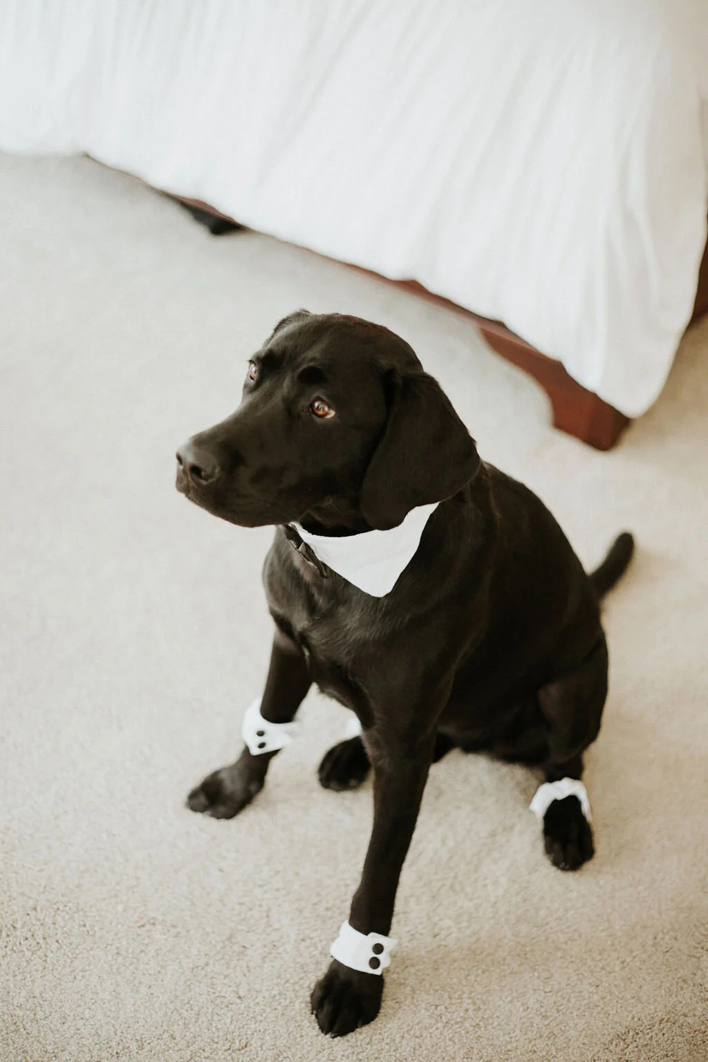 mariah+andrew-14.jpg