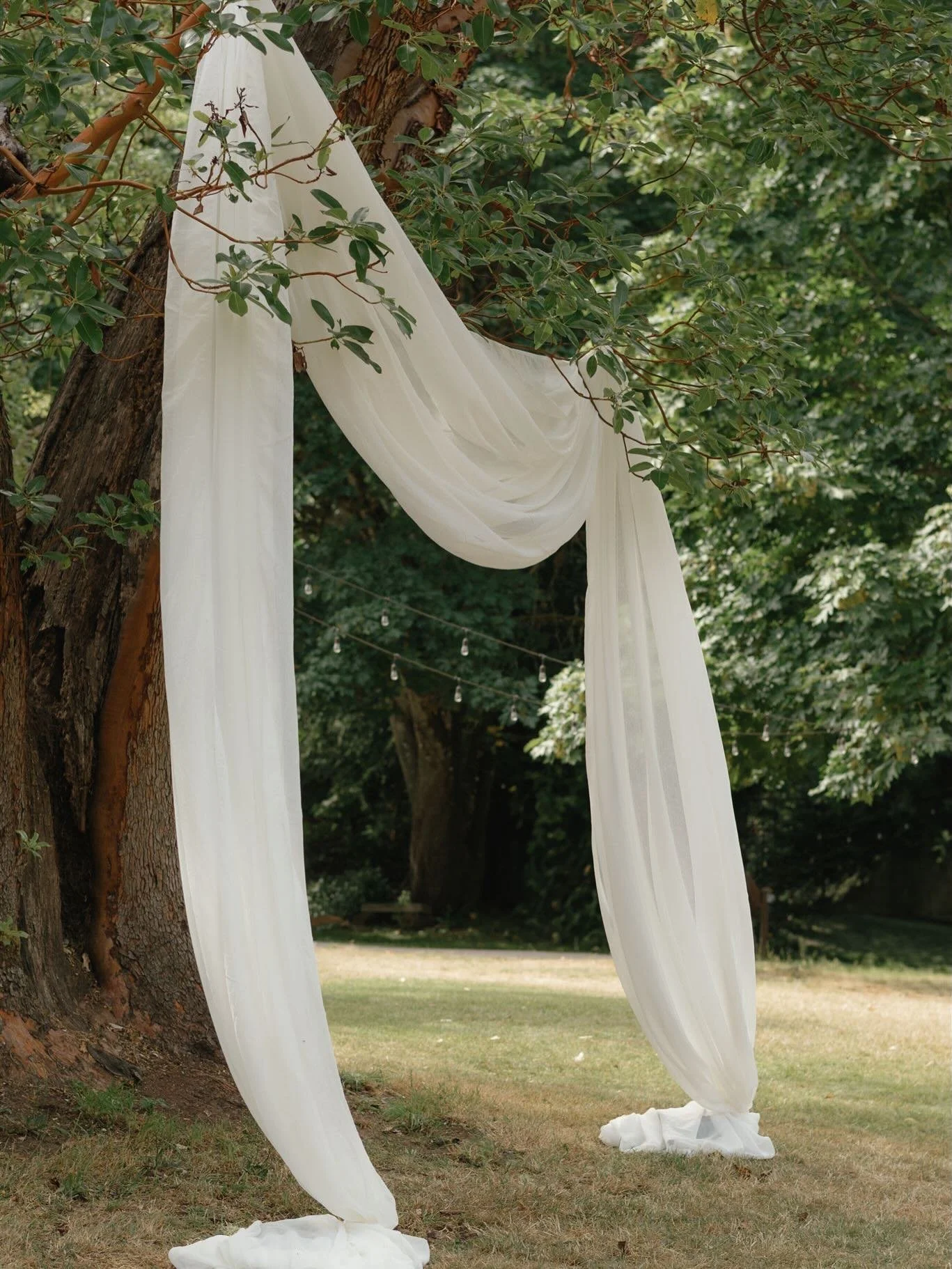 Let&rsquo;s get married and then celebrate 🥂🤍