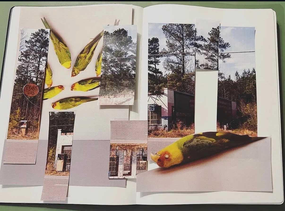 Carolina Parakeet_SAM_WIP2.jpeg