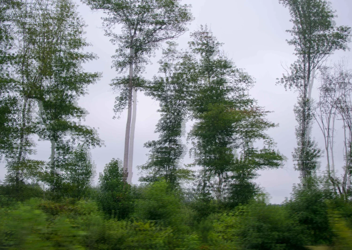 North-carolina.webp