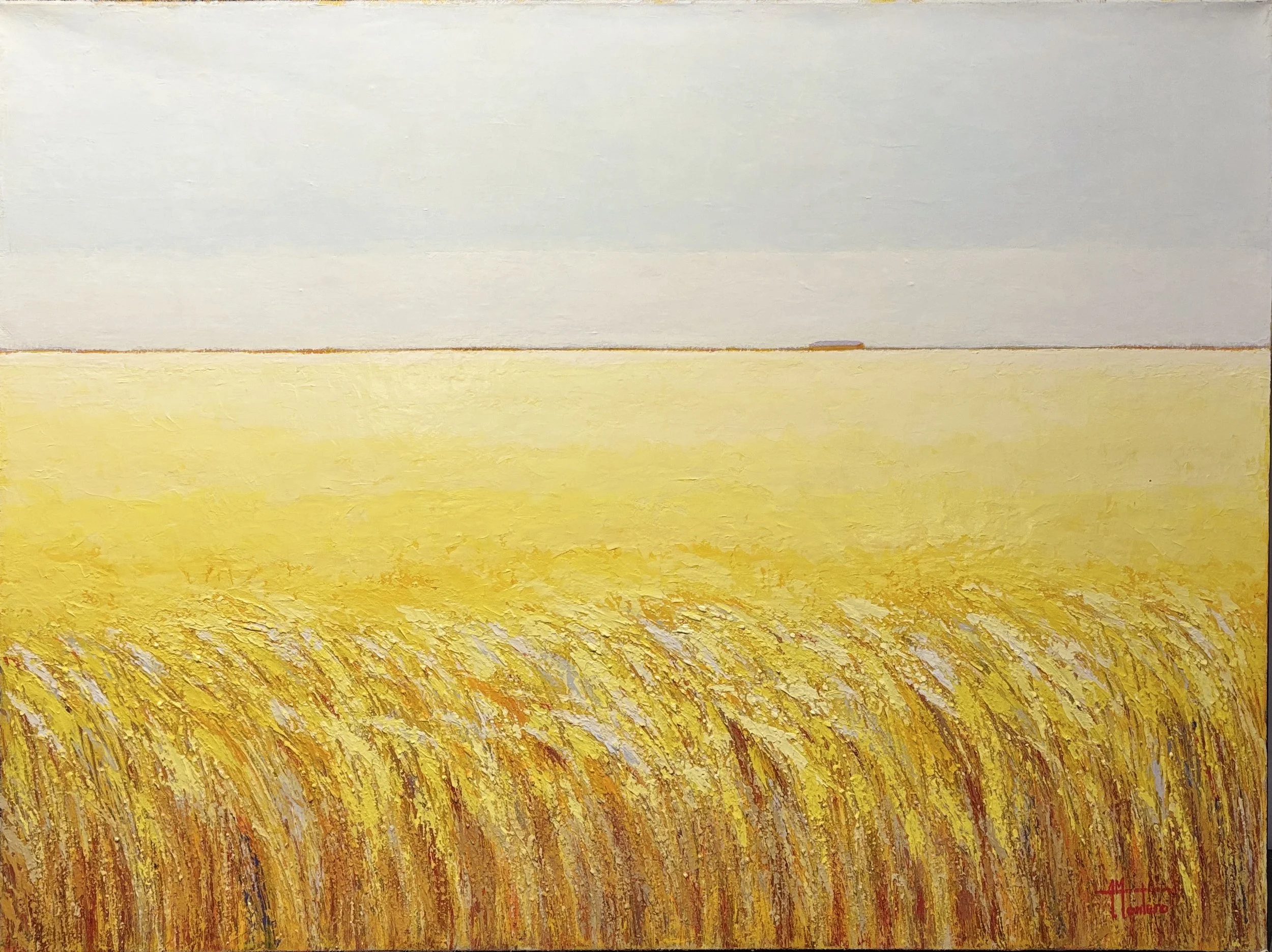 Hay Blooming Field III