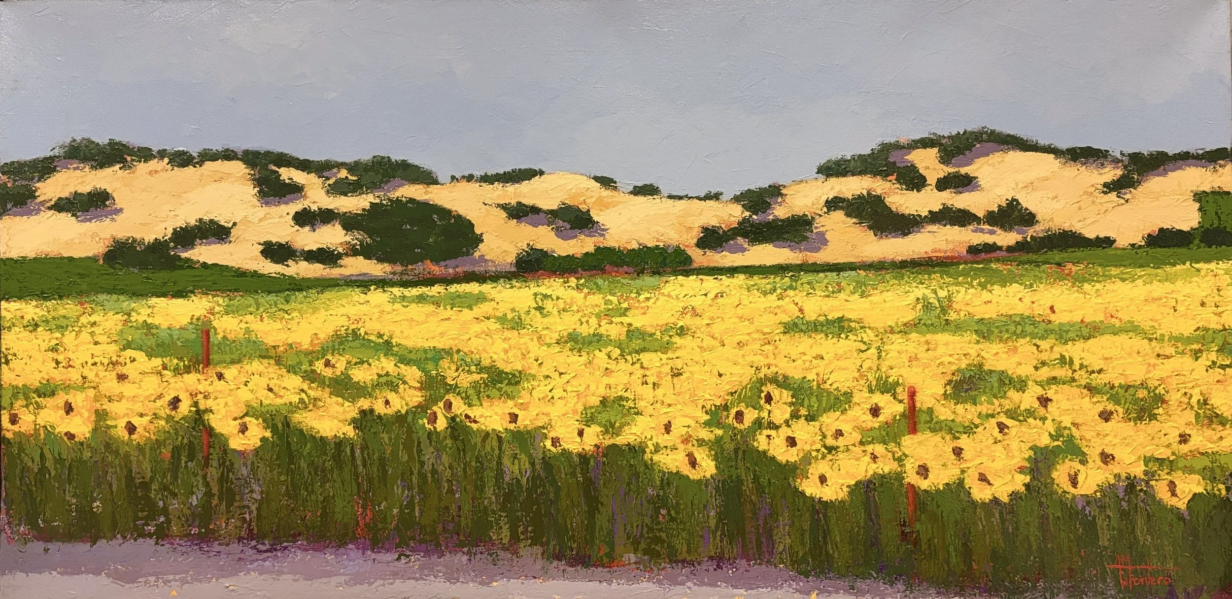 Napa