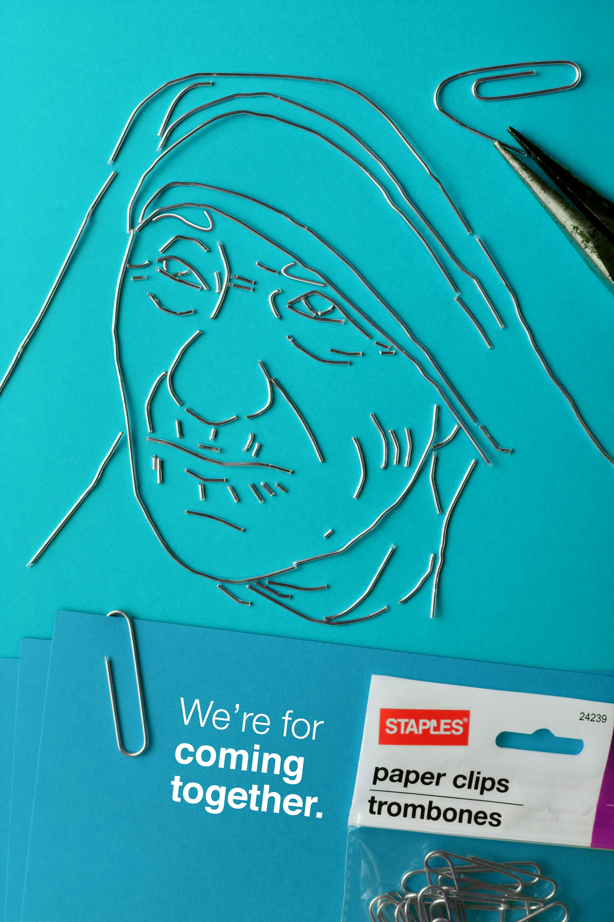 teresa_final.jpg