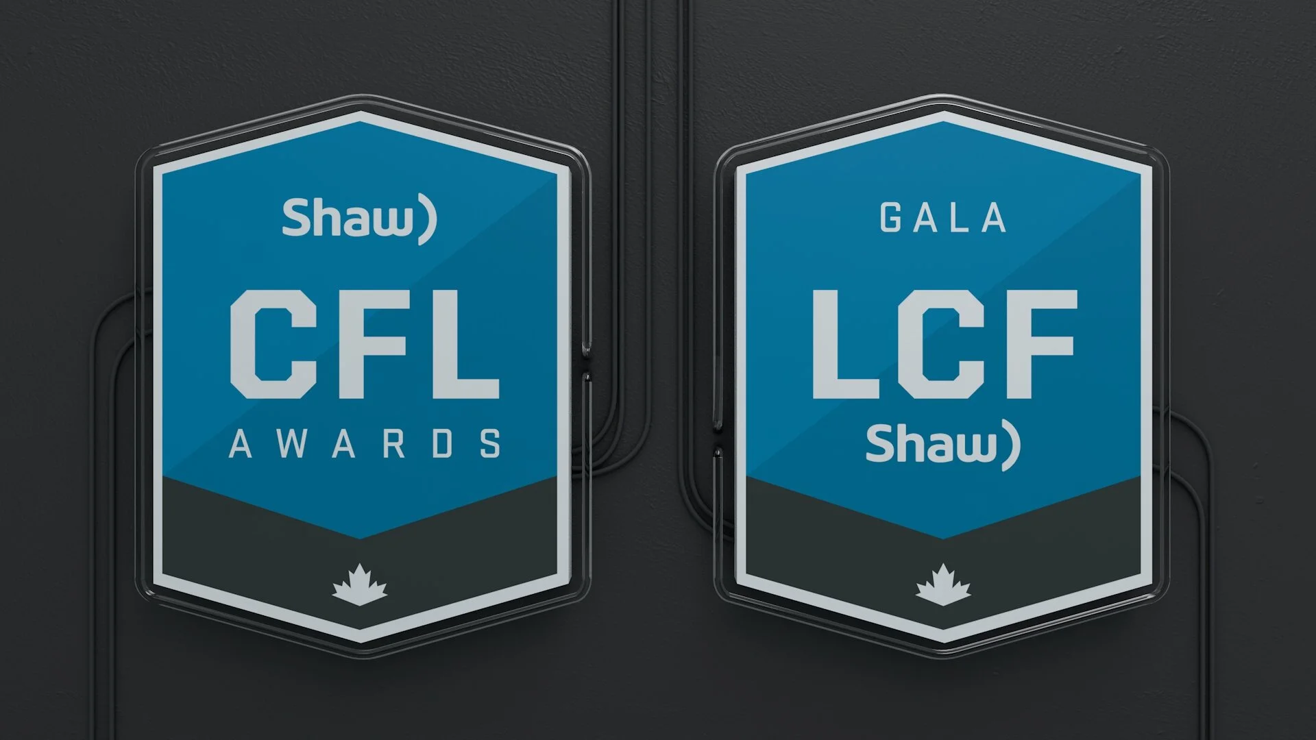 shaw_logos.jpg