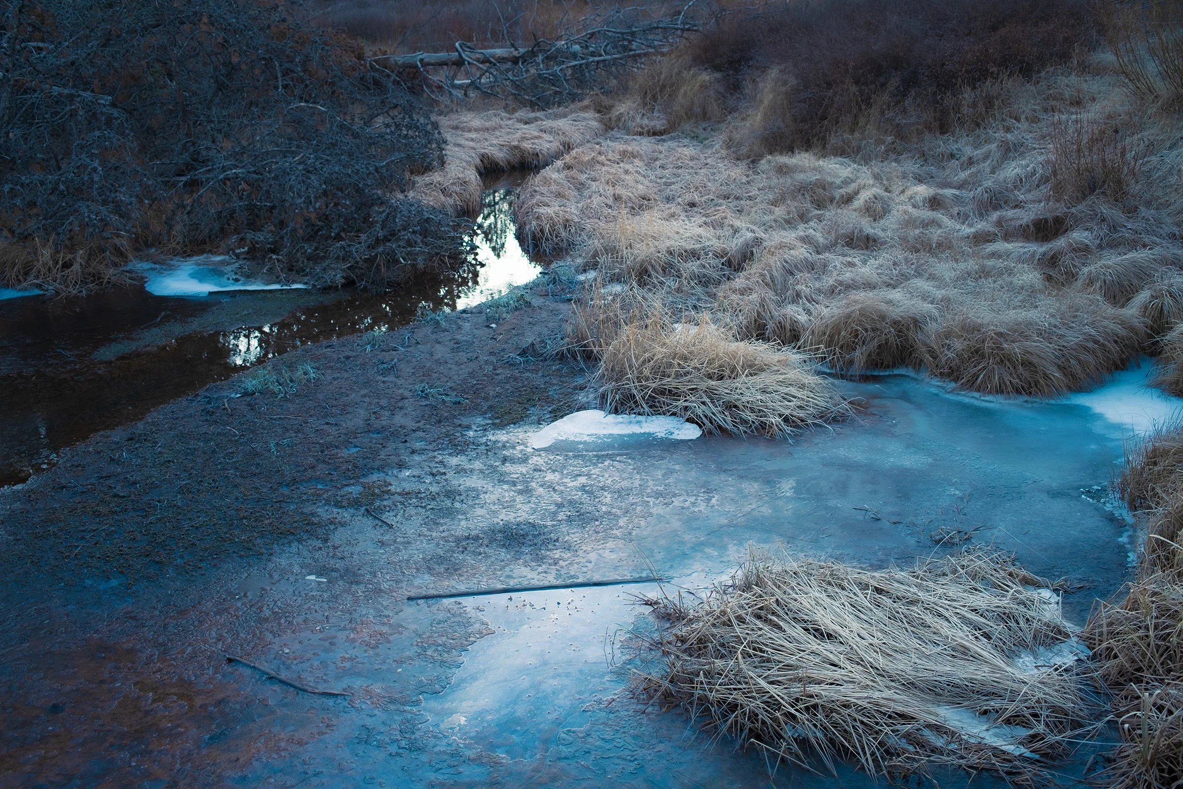 DSCF2998.jpg